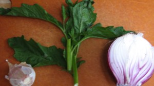 Use garlic, epazote, and onion to season your sauce