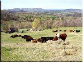 Spring2006LewisWaite