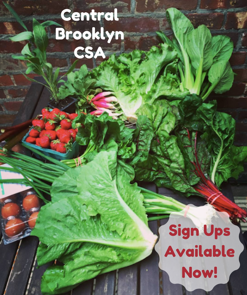 Central Brooklyn CSA Sign-ups Available