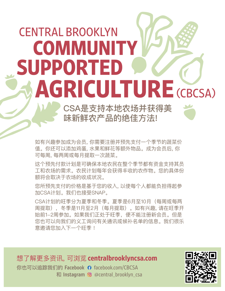 Central Brooklyn CSA flyer in Mandarin