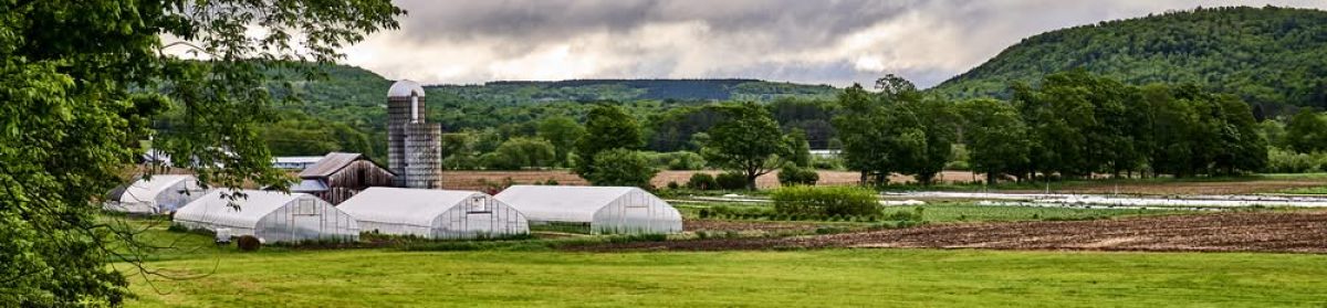 Central Brooklyn CSA